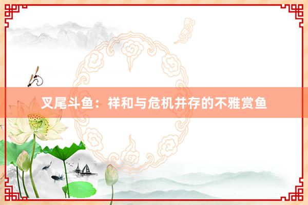 叉尾斗鱼：祥和与危机并存的不雅赏鱼